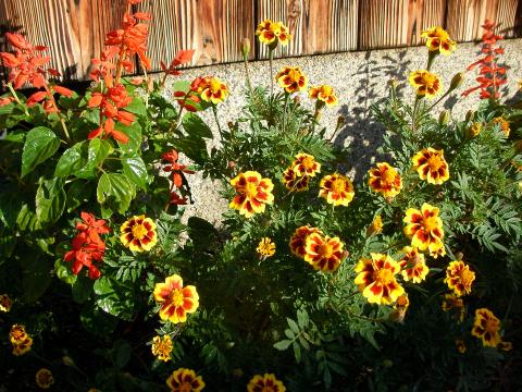 花