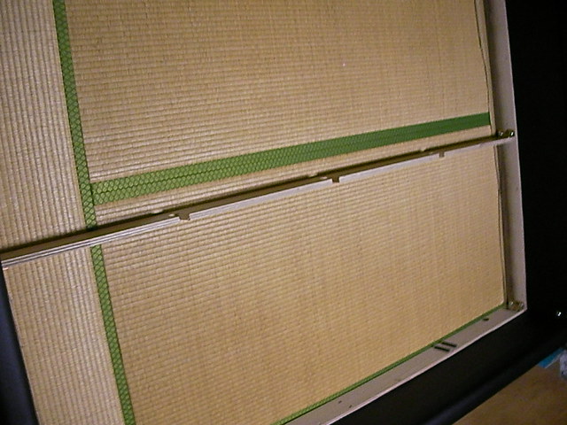 縦の骨